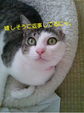 20120719_2.jpg