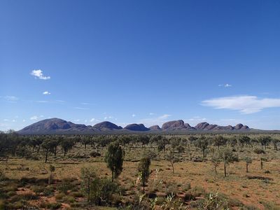 PC310720.jpg