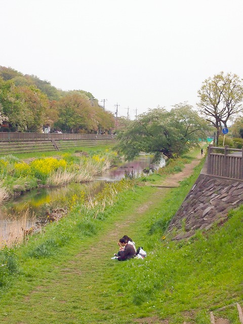 s-p1546.jpg