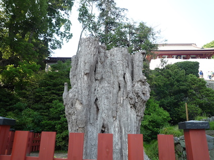 2014.05.31鶴岡八幡宮1.jpg