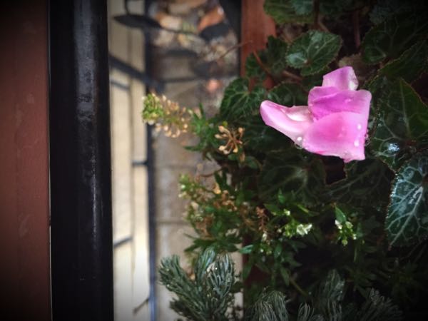 rblog-20150222132242-04.jpg