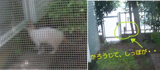 20120707_2.jpg