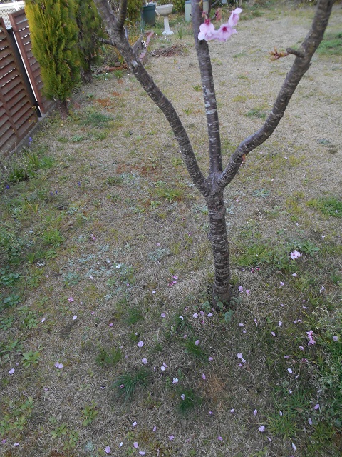 DSCN1728.JPG