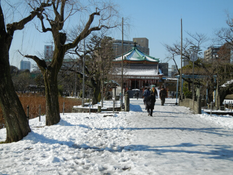 上野公園の雪景色