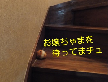 20121026_4.jpg