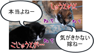 画像 091.jpg