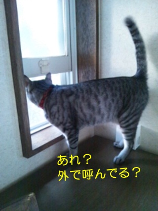 20120803_2.jpg