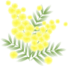 mimoza-bn6.gif