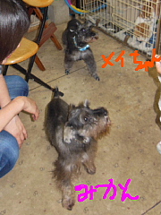 conv1756.JPG