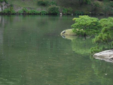 広島　縮景園