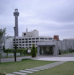 アメリカ山公園から見たマリンタワー