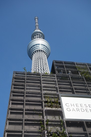 スカイツリー1308