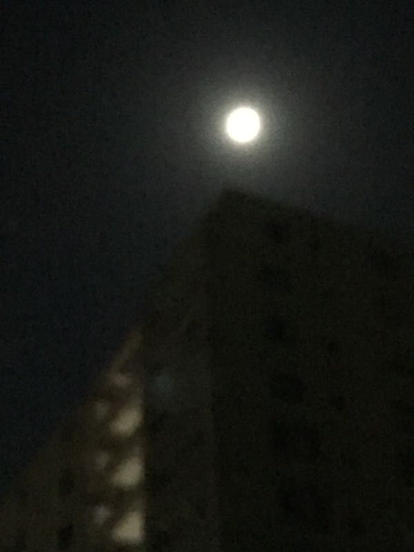 rblog-20161117050051-01.jpg