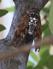E7D_7075-2.jpg