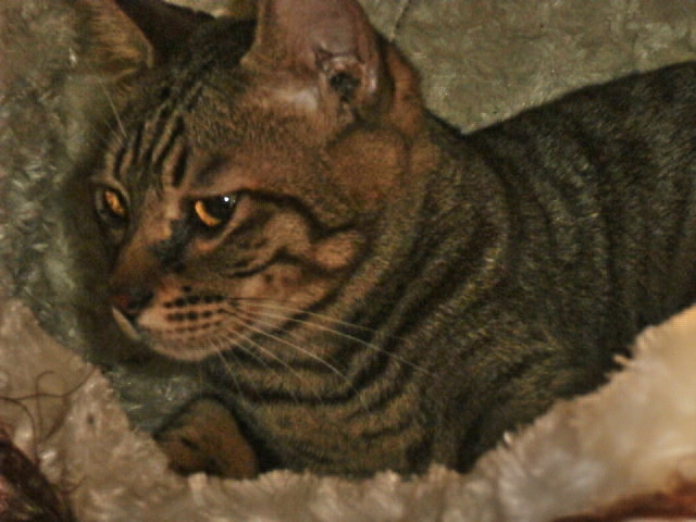 PA290486.JPG