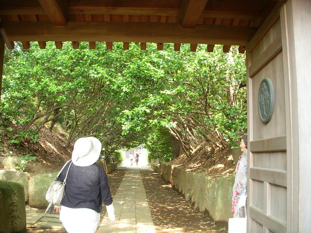 DSCN3882.JPG