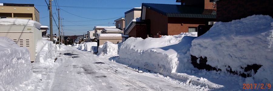 ２／９朝の道路.jpg