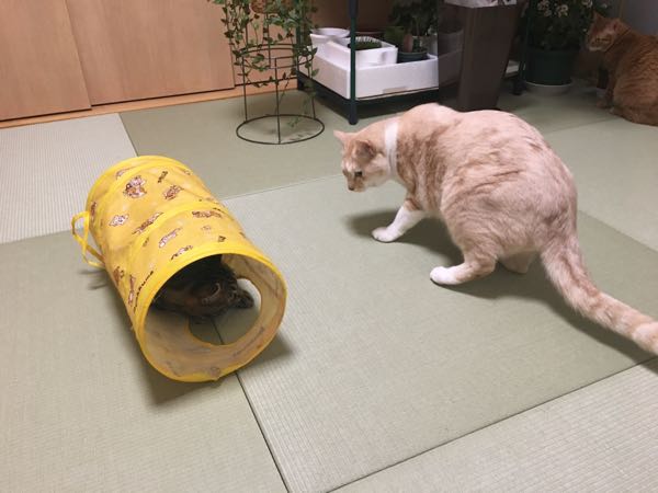 rblog-20190102215100-06.jpg