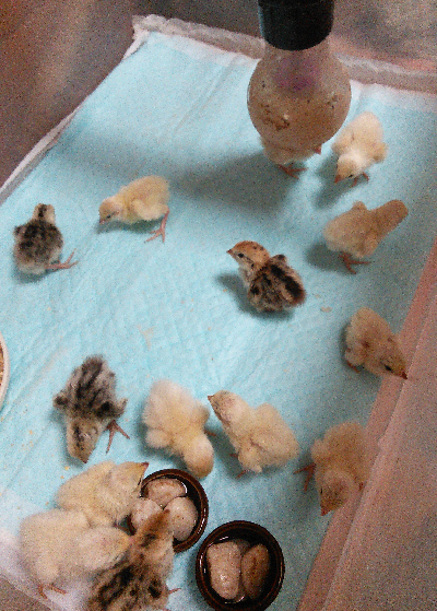 20150815(2)