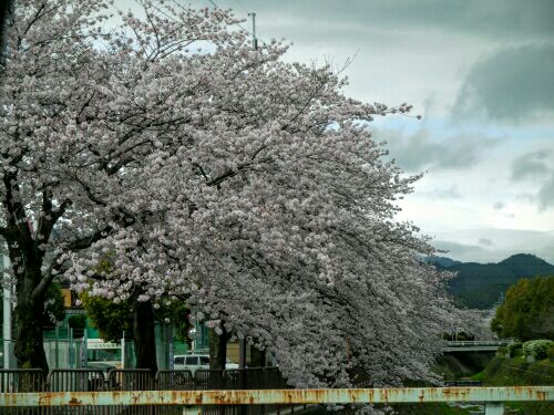 rblog-20160404193205-00.jpg