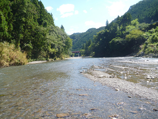 resize0037.jpg
