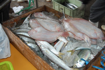 s-DSC_0239.jpg