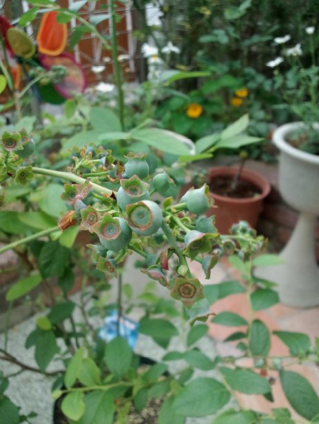20120526b
