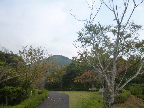 P1130553(1).JPG