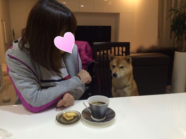 rblog-20151203013534-01.jpg