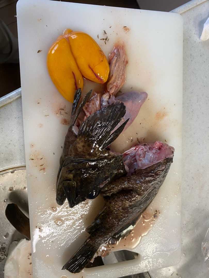 記事一覧 めざせ Richトーナメンター 楽天ブログ