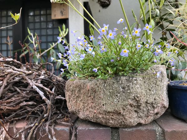 rblog-20180408181817-00.jpg