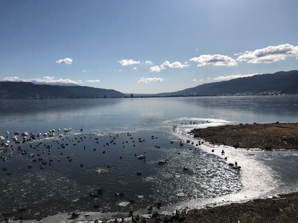 rblog-20180130015731-01.jpg