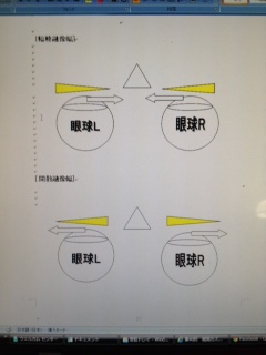 【すぐできる】平行法による立体視で視力 ...
