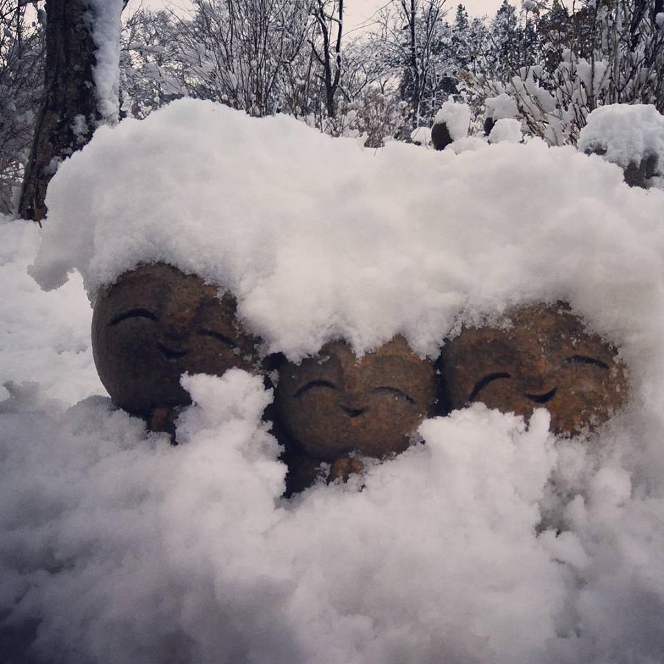 頭の雪
