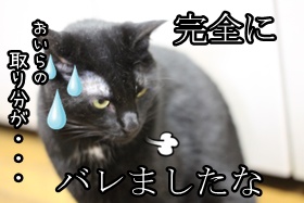 画像 2463.jpg