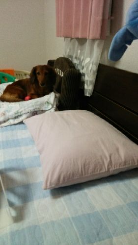 rblog-20180305140306-02.jpg