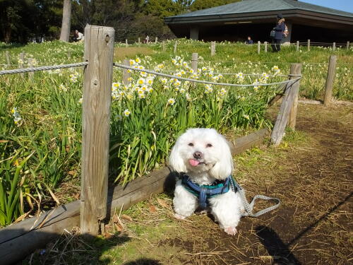 葛西臨海公園にて