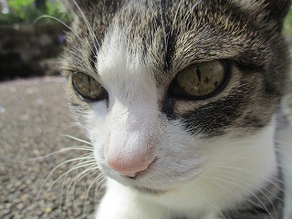 IMG_9422ss.jpg