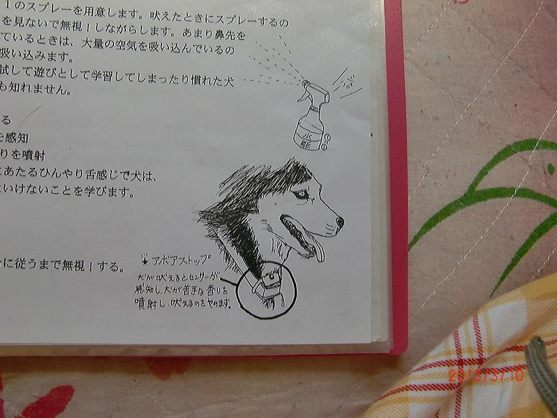 029-2.jpg