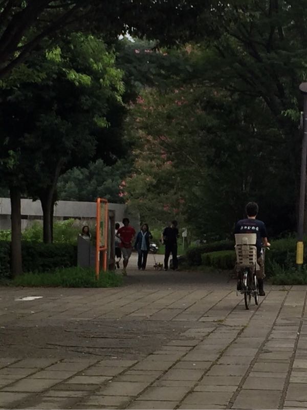 rblog-20150906210221-04.jpg