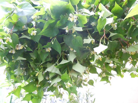 DSCN5639.JPG