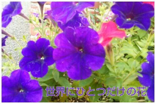 rblog-20160707063100-00.jpg