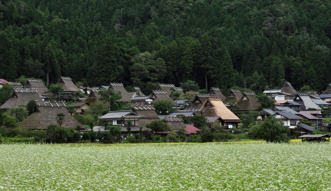美山３