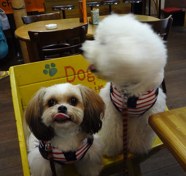 DSC00303.jpgクエスチョン.jpg