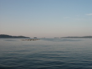 05.JPG