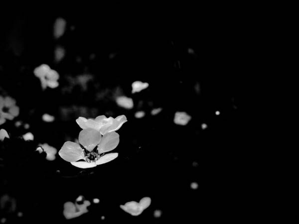 rblog-20160322152606-01.jpg