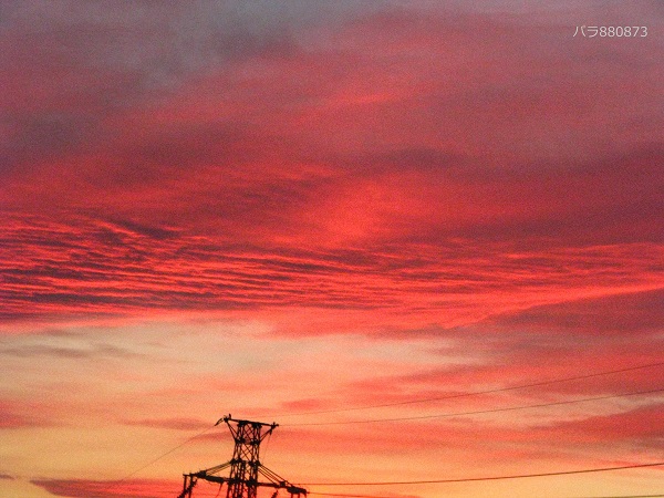 紅い夕焼けは鉄塔の上で厚い襞のよう♪