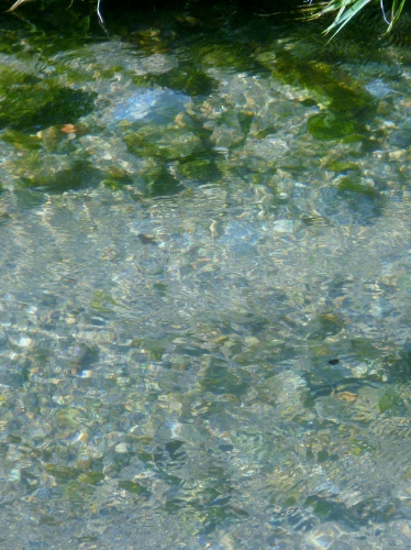 081 (374x500).jpg