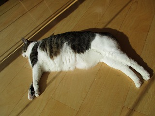 IMG_3101ss.jpg