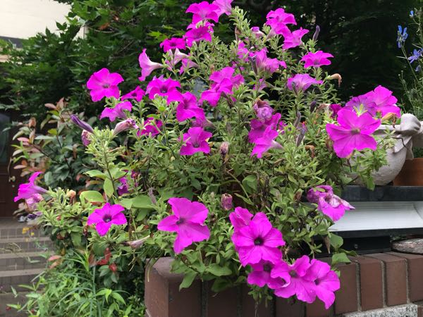 rblog-20180624180303-05.jpg